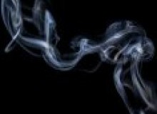 Kwikfynd Drain Smoke Testing
berrara